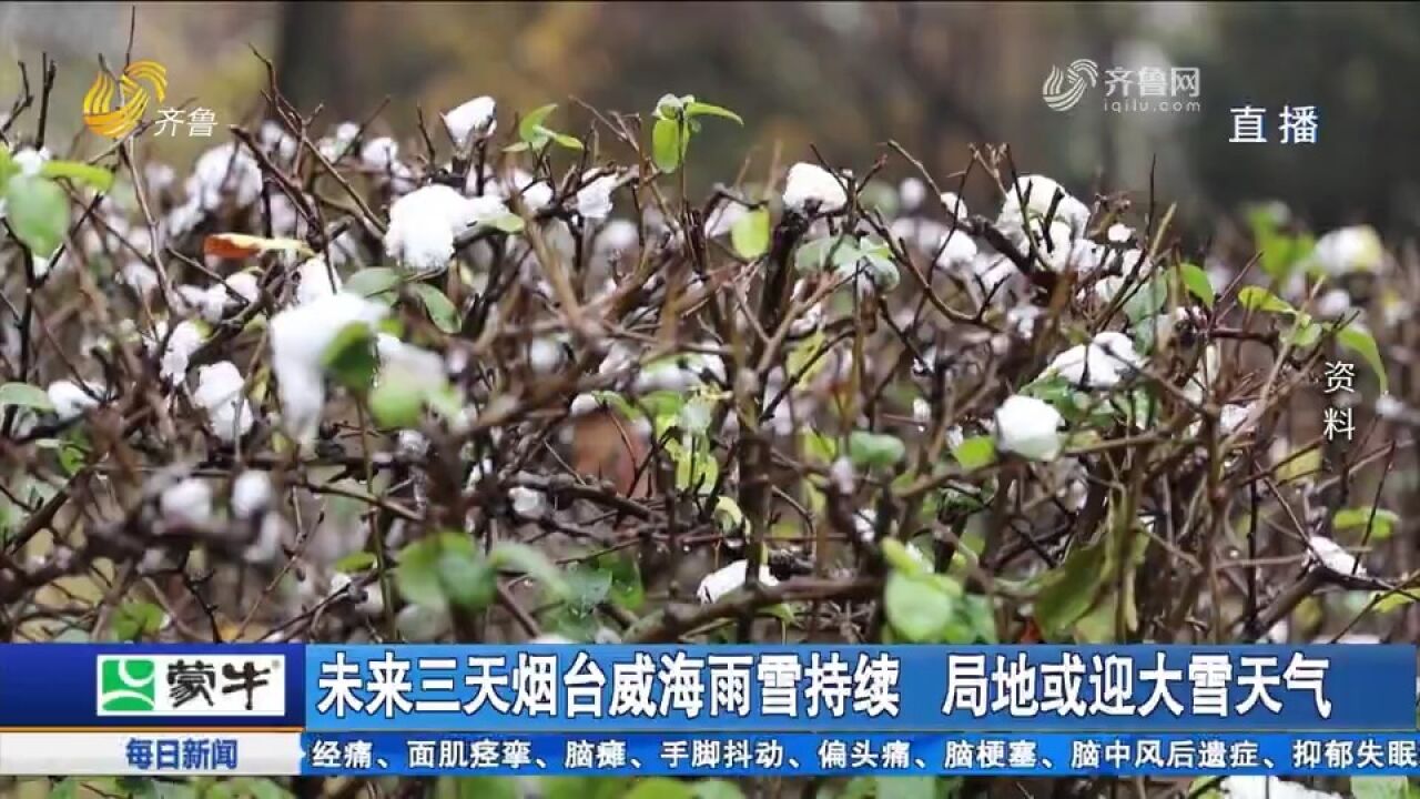 两股冷空气接连来袭!27日起烟台威海雨雪持续,局地最低温6℃