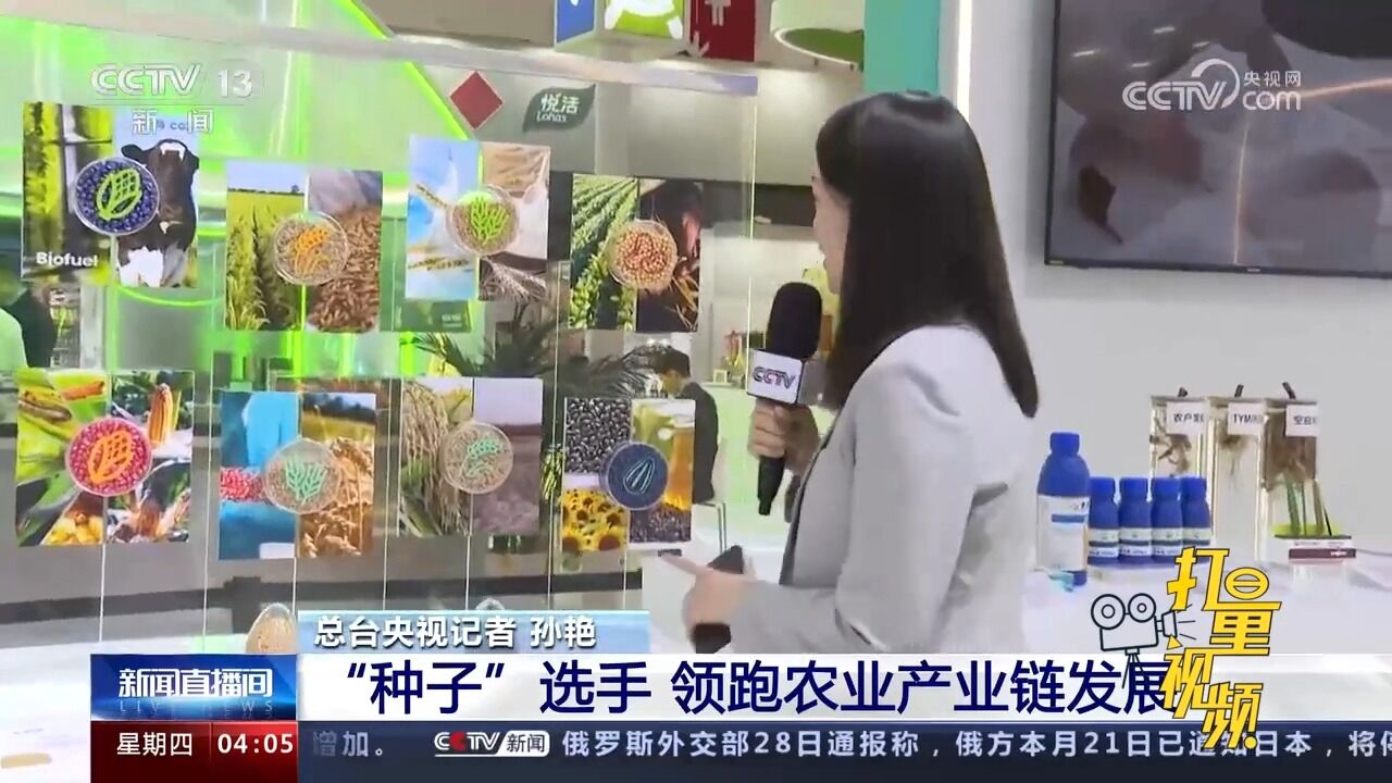 中国国际供应链促进博览会:“种子”选手领跑农业产业链发展