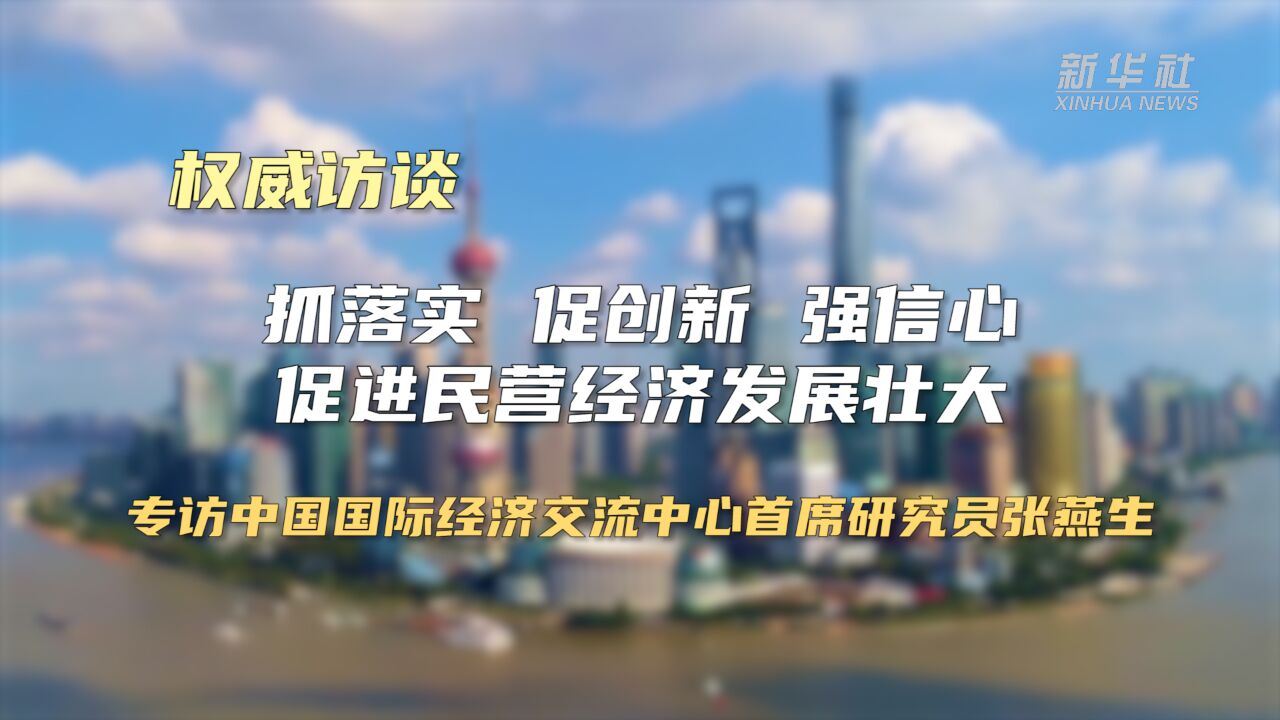 权威访谈|抓落实、促创新、强信心 促进民营经济发展壮大——专访中国国际经济交流中心首席研究员张燕生