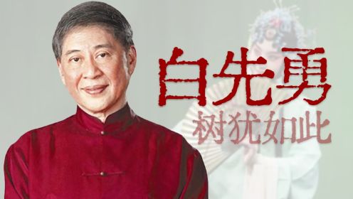 大师、奇才、“孽子”、中国文坛的礼物【寻找·白先勇】