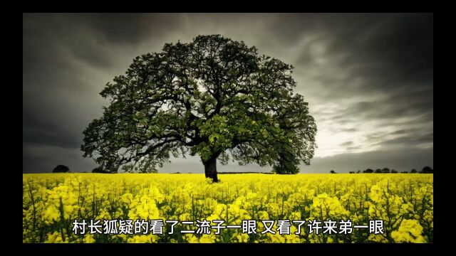 完整版《六零:知青娇媚,痞帅糙汉的护着》(程巧小说)全章节