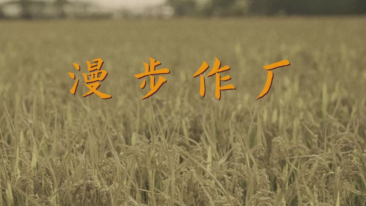 微视频|有一种时光慢慢叫作厂