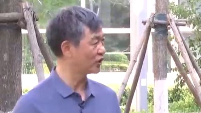 北京大兴国际氢能示范区,打造产业创新生态圈