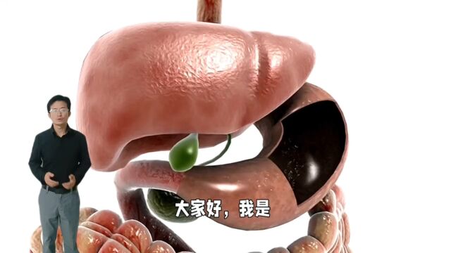 胰腺健康:认识、预防与保养