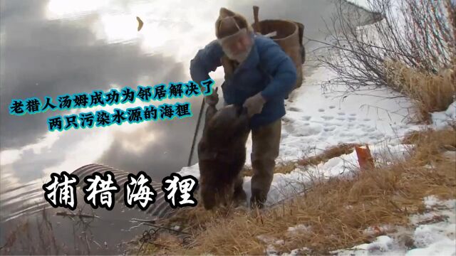 1.捕猎海狸