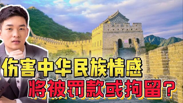 伤害中华民族情感,将被罚款或拘留?老百姓拍手称快,大V急了