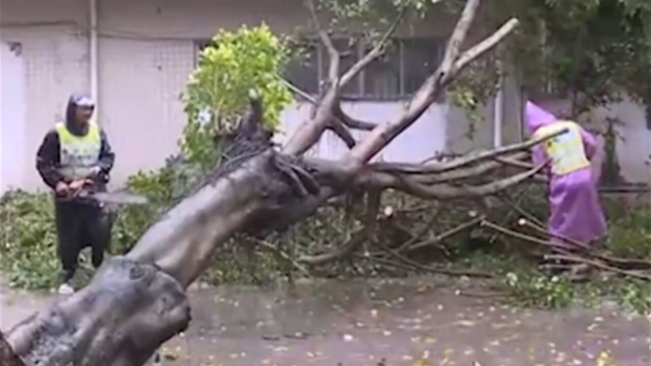 广东肇庆多措并举应对强降雨天气,消除各类安全隐患