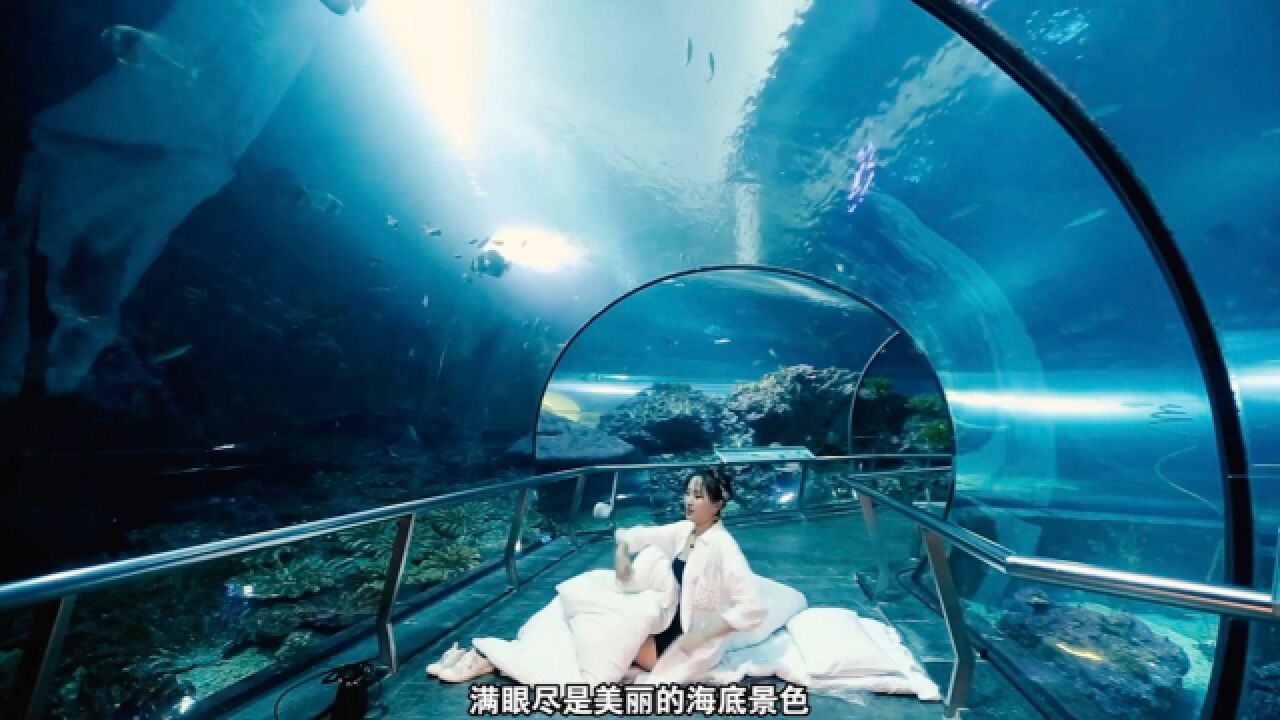 夜宿台湾水族馆,太梦幻了