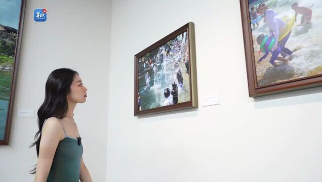 Video|Opening ofthe Thematic Exhibition of Images of the Great Beauty of Guangdong