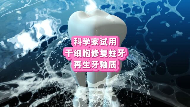 科学家试用干细胞修复蛀牙,再生重建牙釉质