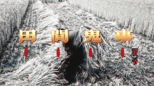 相信这个中元时节的灵异故事你一定没看过:田间鬼事(第二节)(共两节)