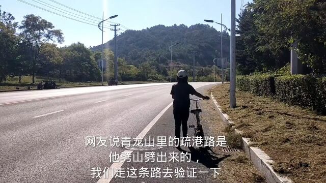 网友说青龙山里的疏港路是他劈山劈出来的,我们走这条路去验证一下