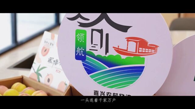 “知产”变“资产”南湖这样做→