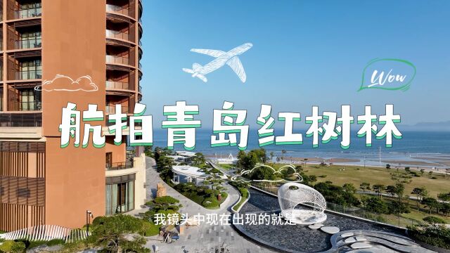 航拍青岛西海岸红树林,隔海相望灵山岛,网红打卡正当时