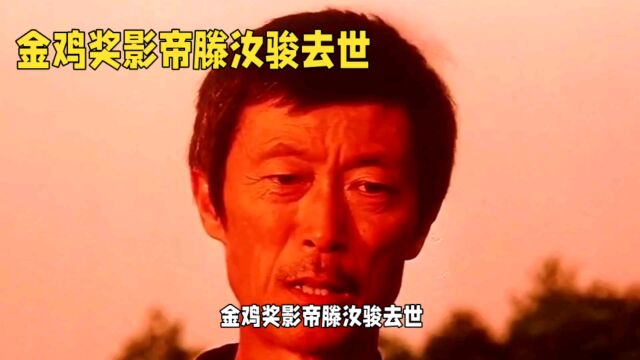 金鸡奖影帝滕汝骏去世,音乐与表演永留人心