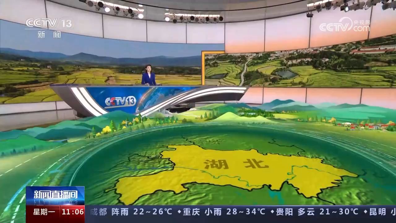 直击水稻主产区!湖北京山逾91万亩水稻迎丰收 航拍收割机作业