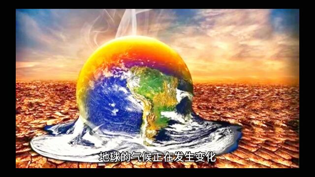 绿色能源革命:太阳能和风能的崛起