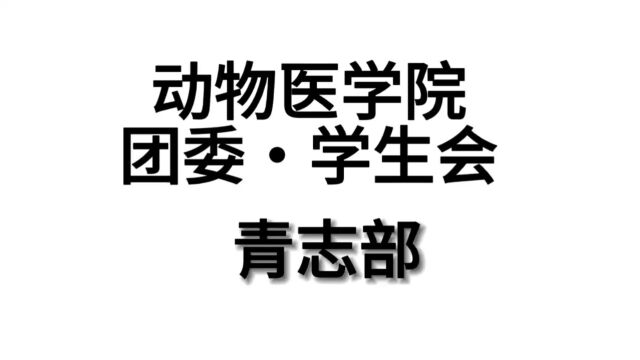 青志部招新视频