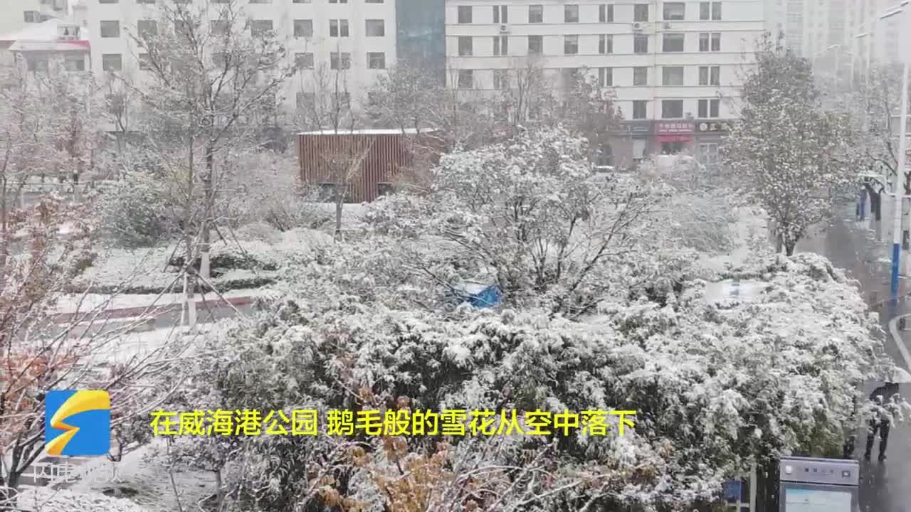 威海:雪花簌簌 冬日风景如画