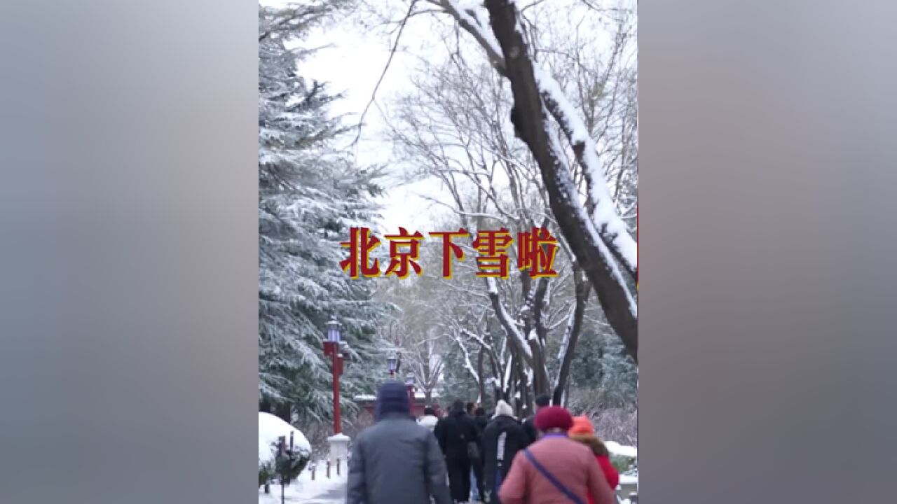 北京下雪啦,据北京市气象台消息,昨夜到今天上午北京全市普降中到大雪,为今冬首场明显降雪.