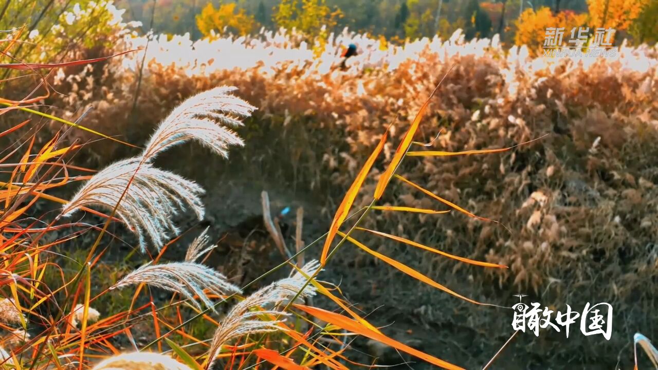 瞰中国|山东枣庄:多彩冬韵