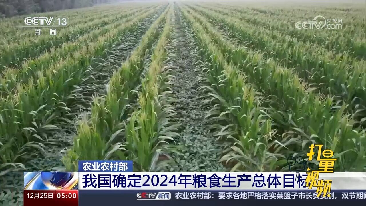 农业农村部:我国确定2024年粮食生产总体目标