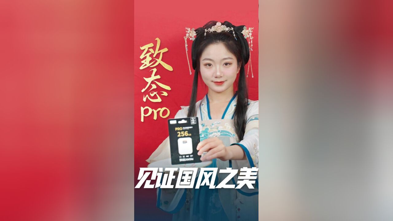 致态Pro和致态Endurance存储卡见证国风之美颁奖仪式