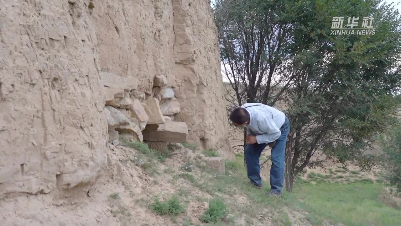 新时代中国调研行ⷮŠ长城篇|黄河岸边“长城痴”