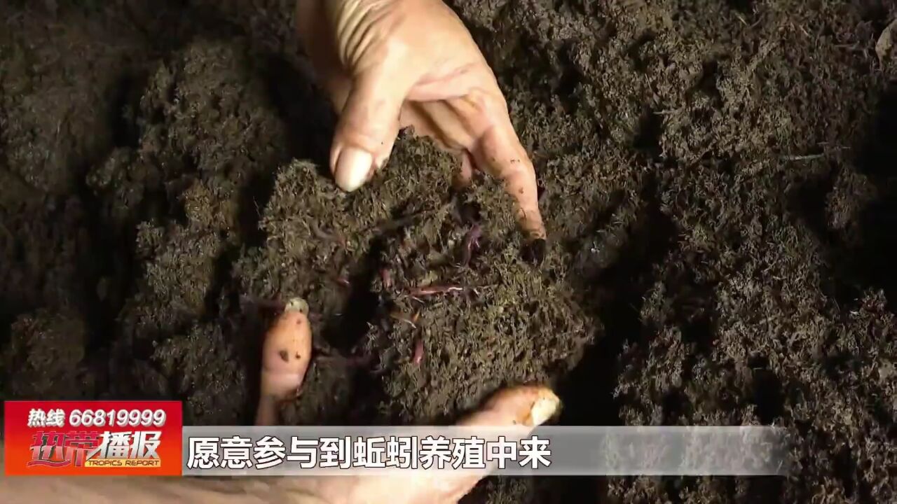 沈毛富和他“致富虫”