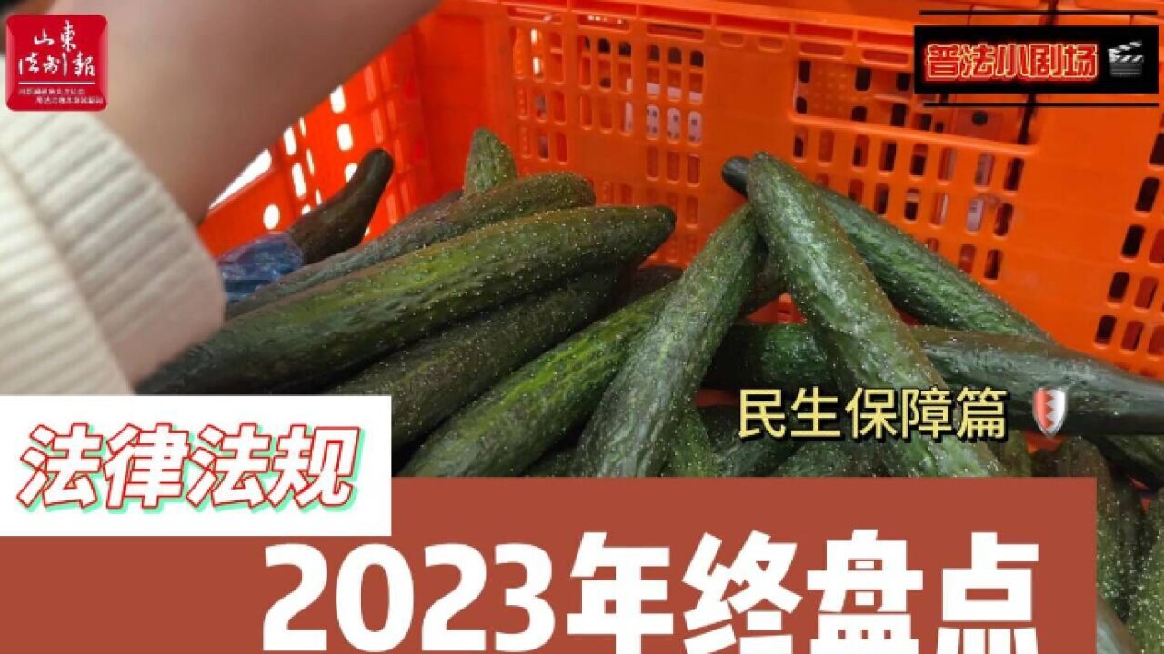 2023年终盘点——法律法规(民生保障篇)