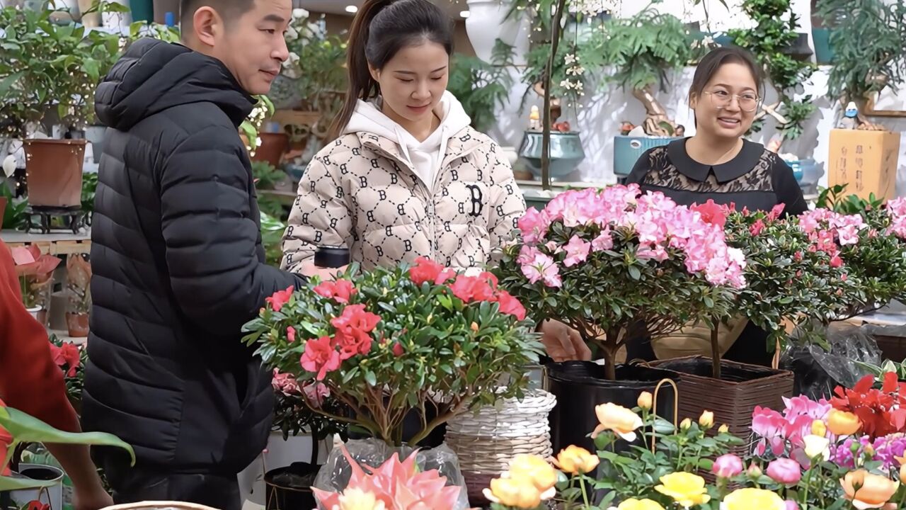 实探即将闭店的花卉市场:市民趁商家甩卖提前购置春节用品