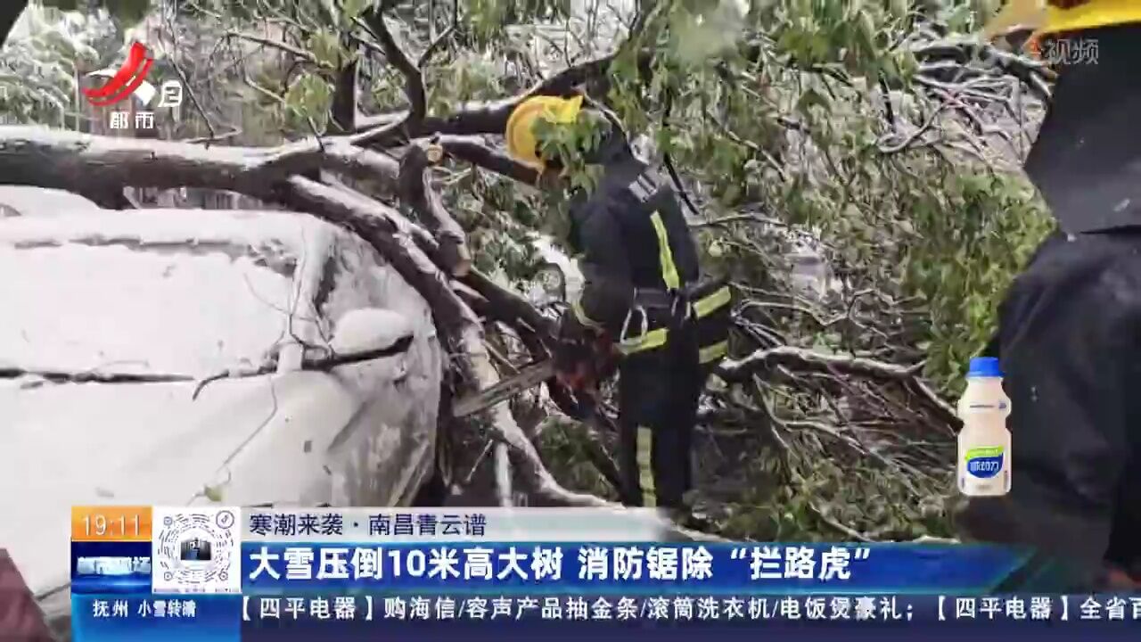 【寒潮来袭】南昌青云谱:大雪压倒10米高大树 消防锯除“拦路虎”