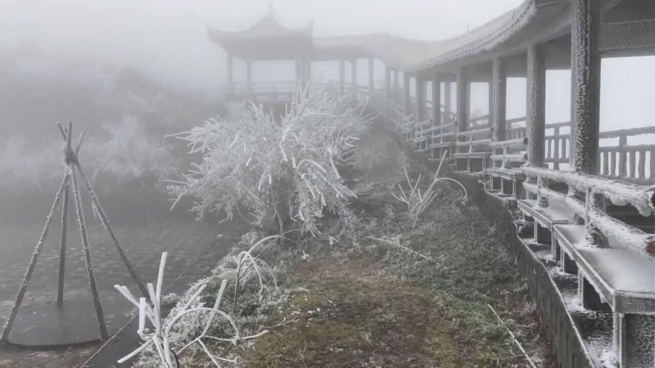 广东多地飘雪,吸引大量游客前来赏雪