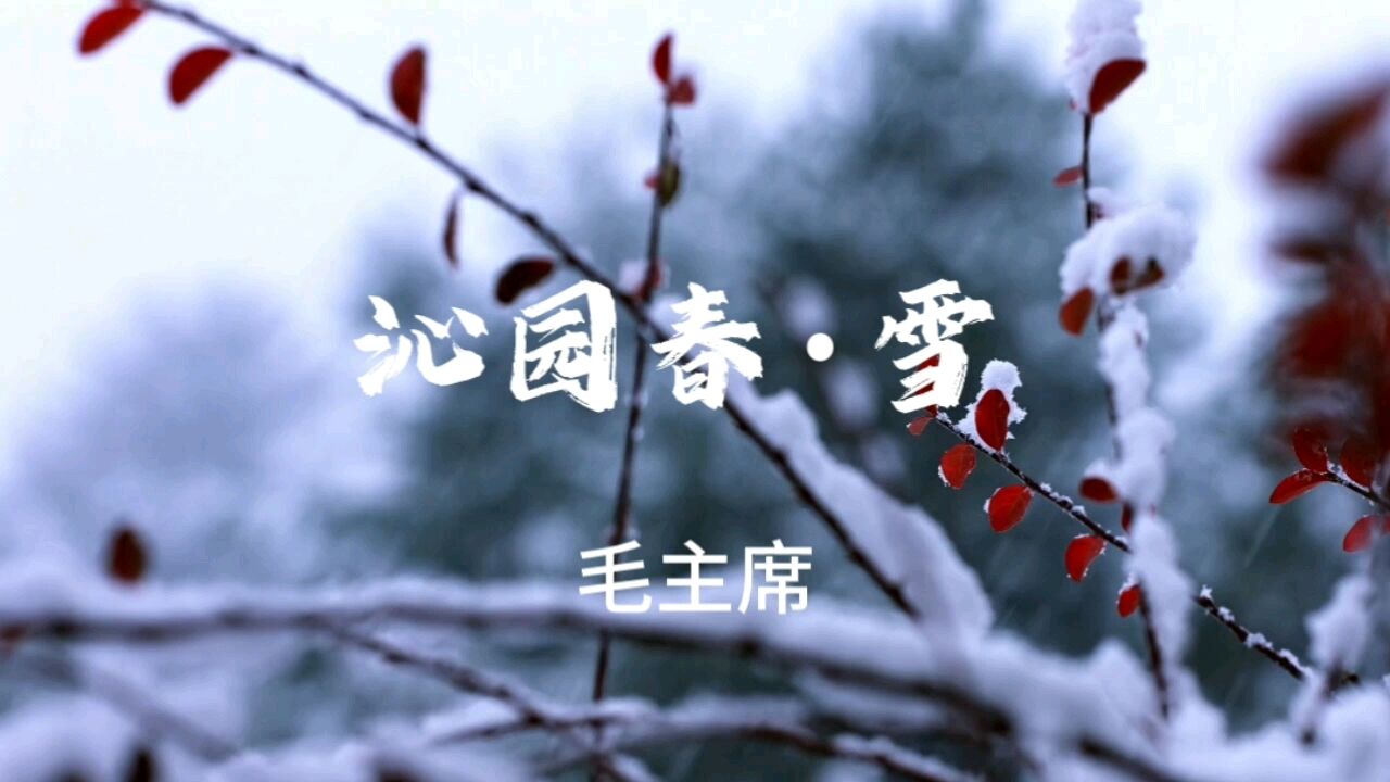 新春第一天拜读毛主席《沁园春雪》,感受伟人情怀,领略祖国大好河山