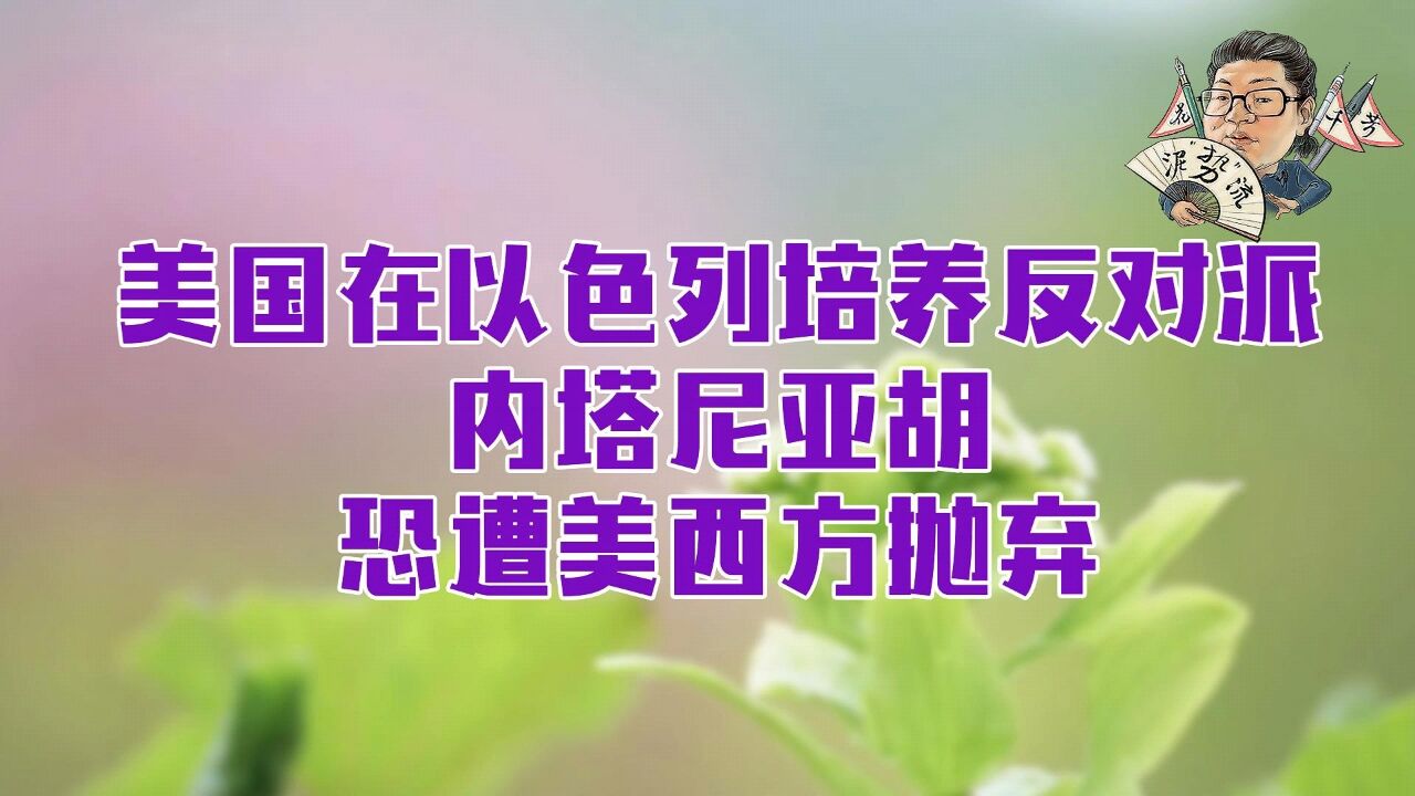 花千芳:美国在以色列培养反对派,内塔尼亚胡恐遭美西方抛弃