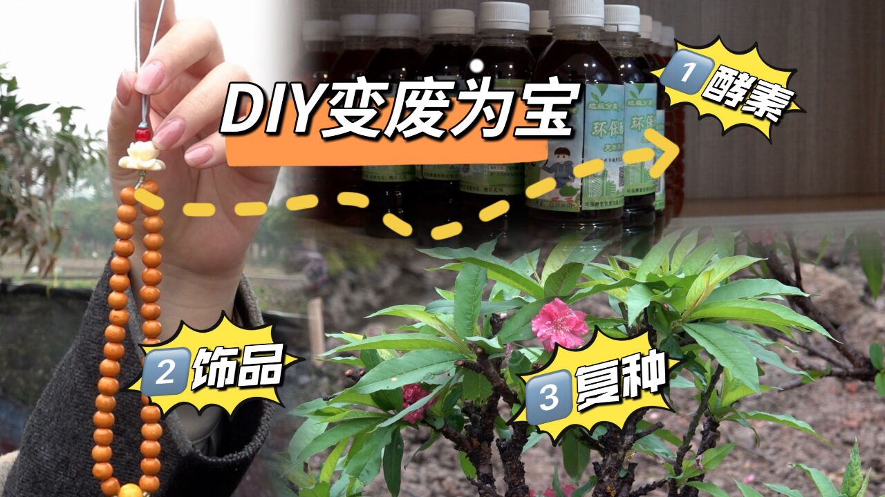 “过气”年花先别扔,3招DIY改造就能变废为宝!