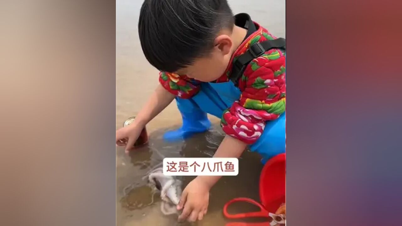 赶海赶海赶海啦 带你去看海