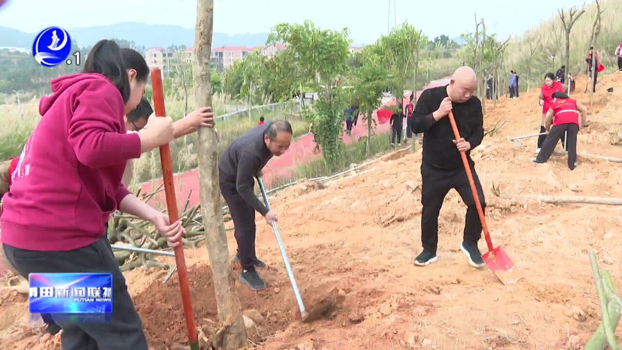 我市积极拓展造林新空间 推进生态惠民