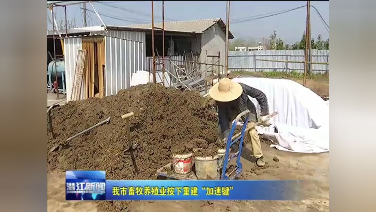 我市畜牧养殖业按下重建“加速键”