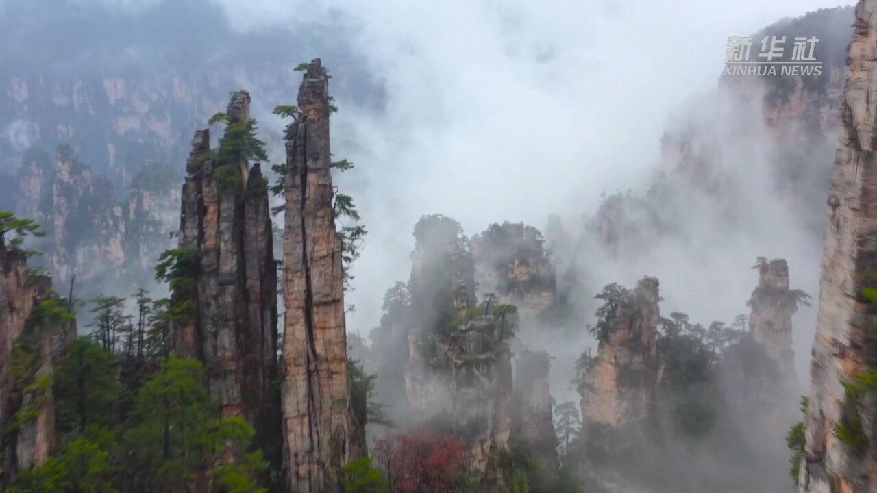 文化中国行|湖南张家界:文旅消费热腾腾,春暖花开迎接中外游客