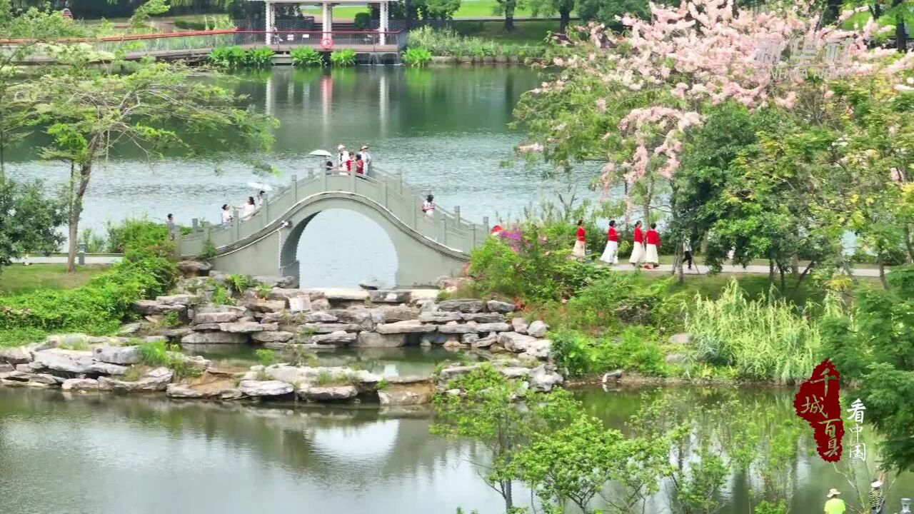 千城百县看中国丨深圳南山:满城芳菲 秀美家园