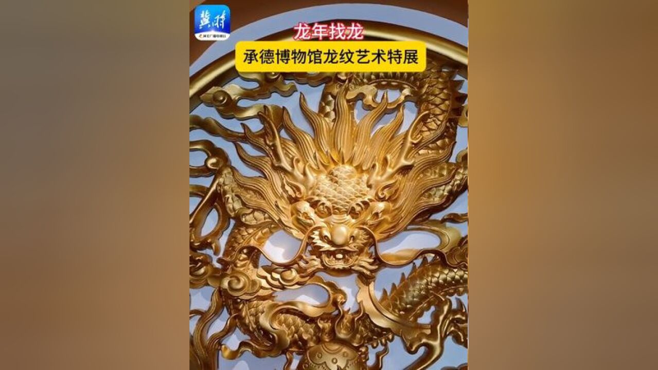 龙年找龙——承德博物馆龙纹艺术特展!