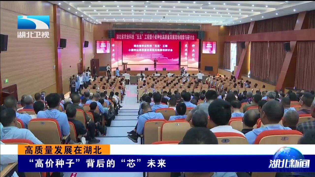 “高价种子”背后的“芯”未来