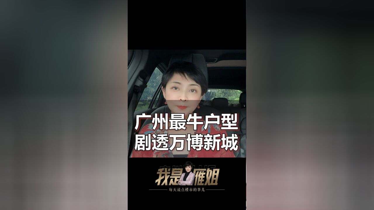 里仁洞旧改万博城发布会,说实在的,挺震撼!