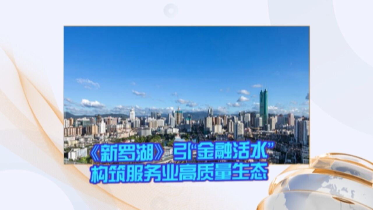 《新罗湖》引“金融活水” 构筑服务业高质量生态