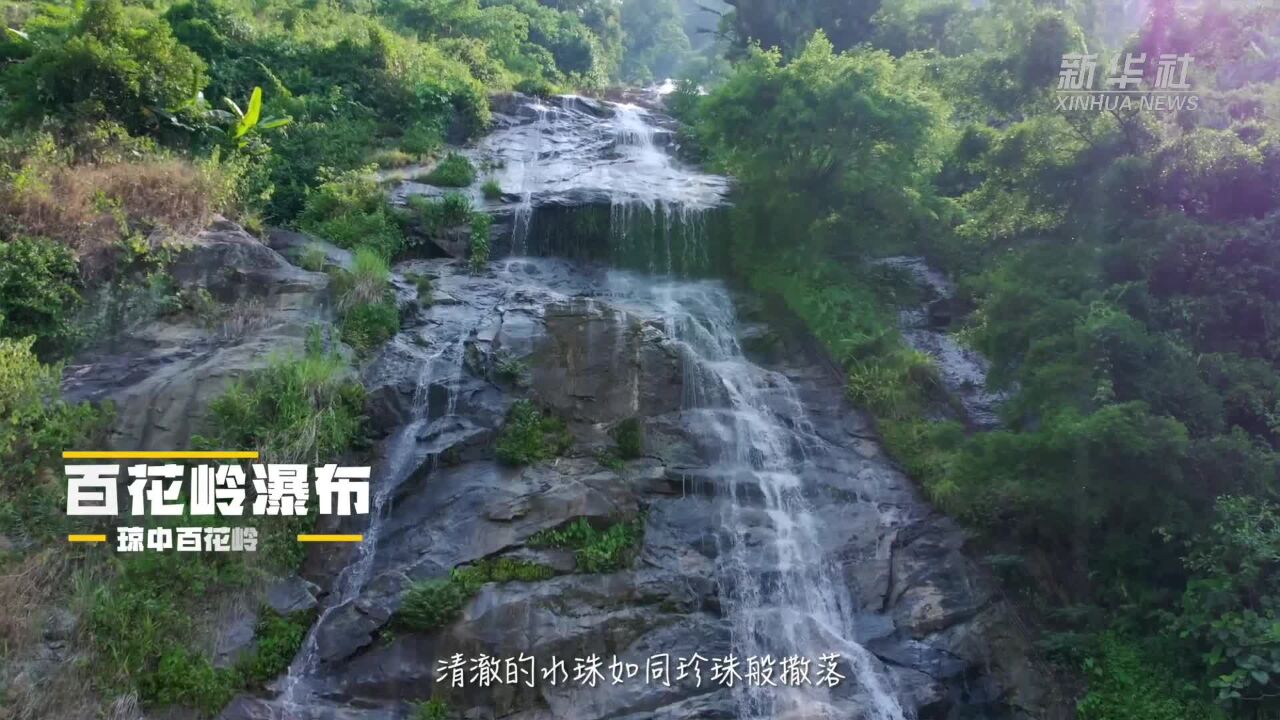 四季旅行|走进海南琼中百花岭 探索热带雨林的奇迹