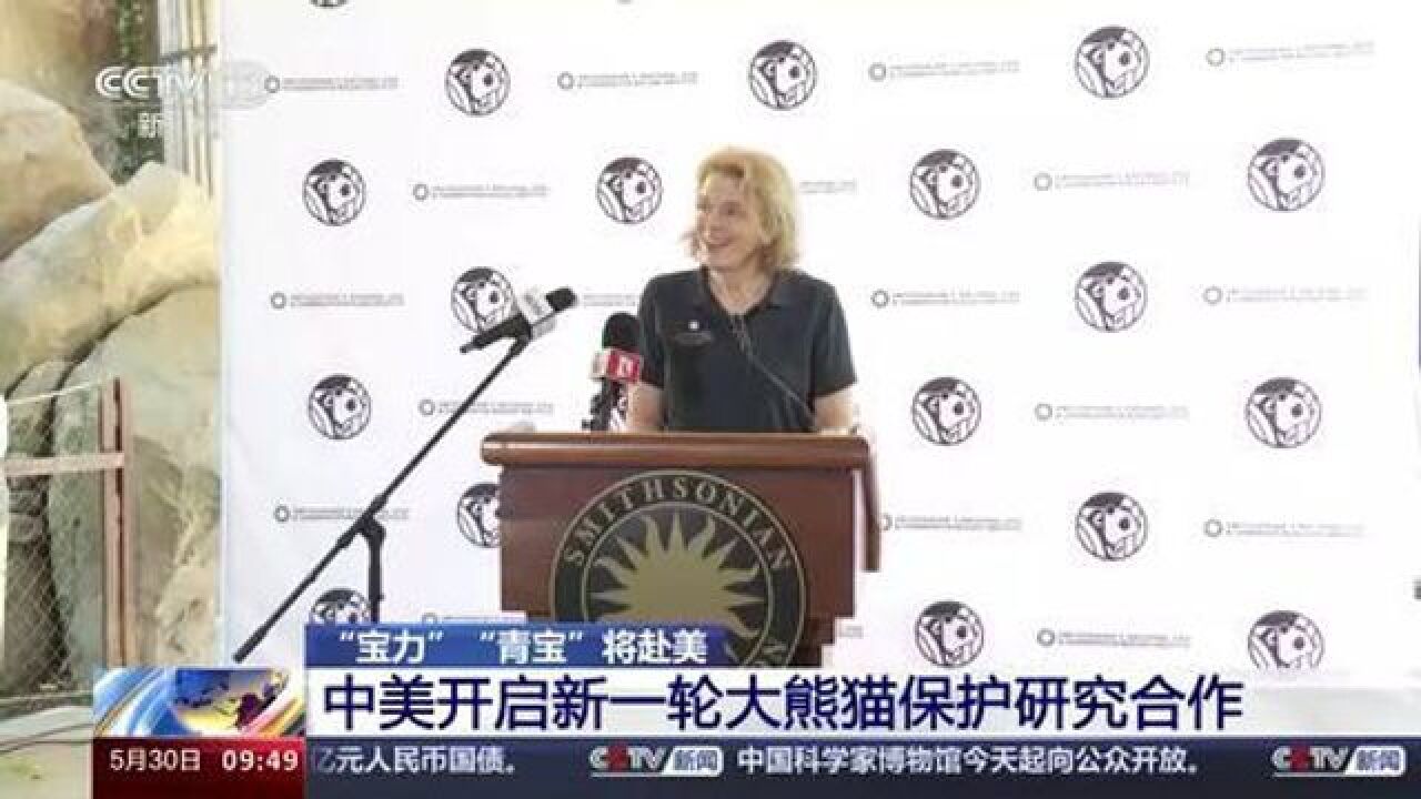 “宝力”“青宝”将赴美 中美开启新一轮大熊猫保护研究合作