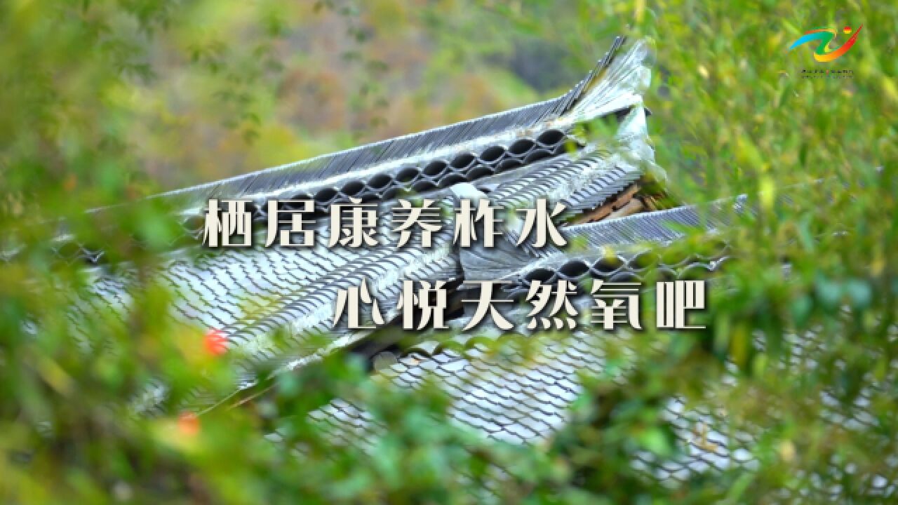 栖居康养柞水,心悦天然氧吧