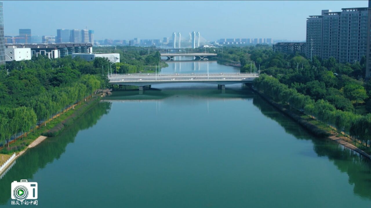 郑州东运河夏日风光掠影