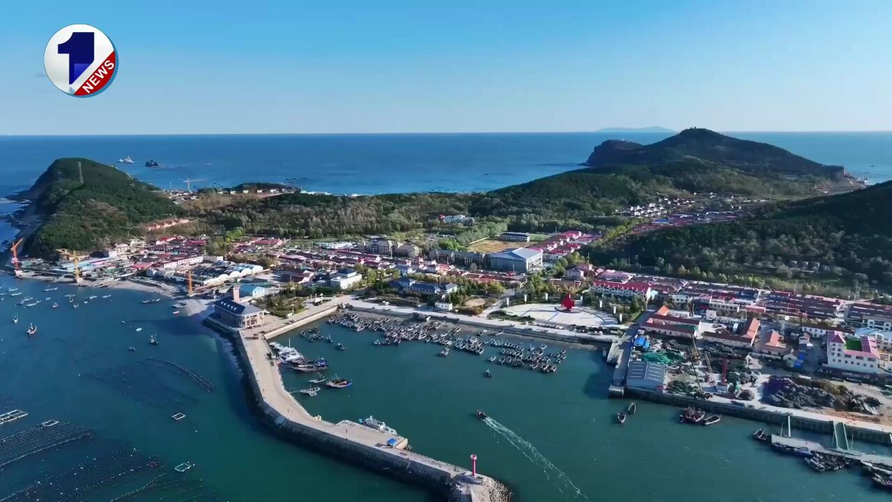 陈绍旺到丹东东港市学习考察并在庄河市调研